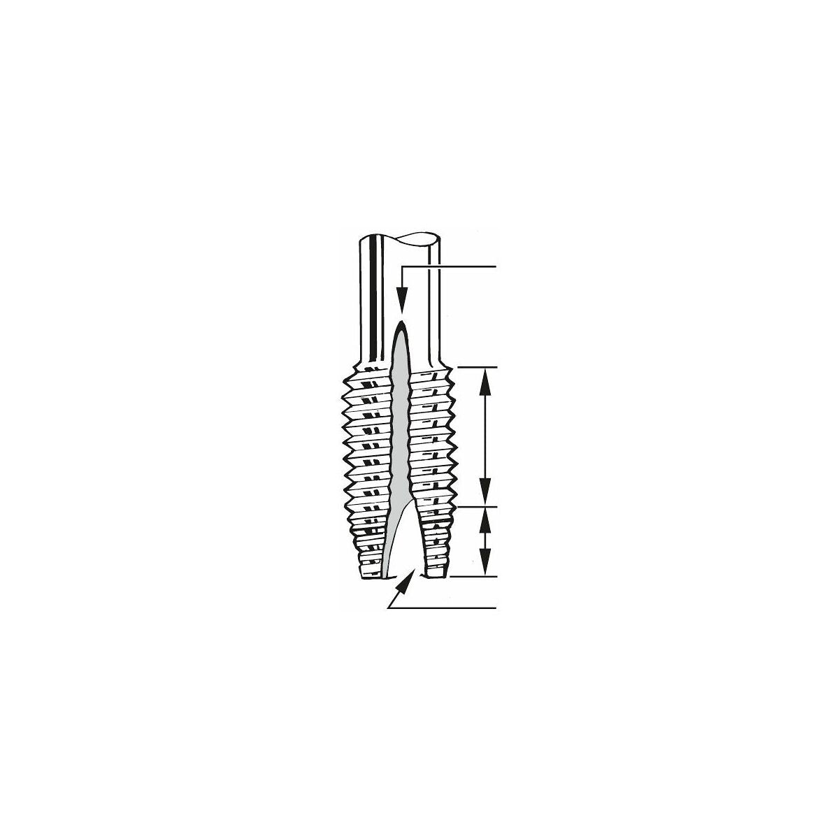 HOLEX Pro Tap machine tap HSS-E, TiN, M: M2