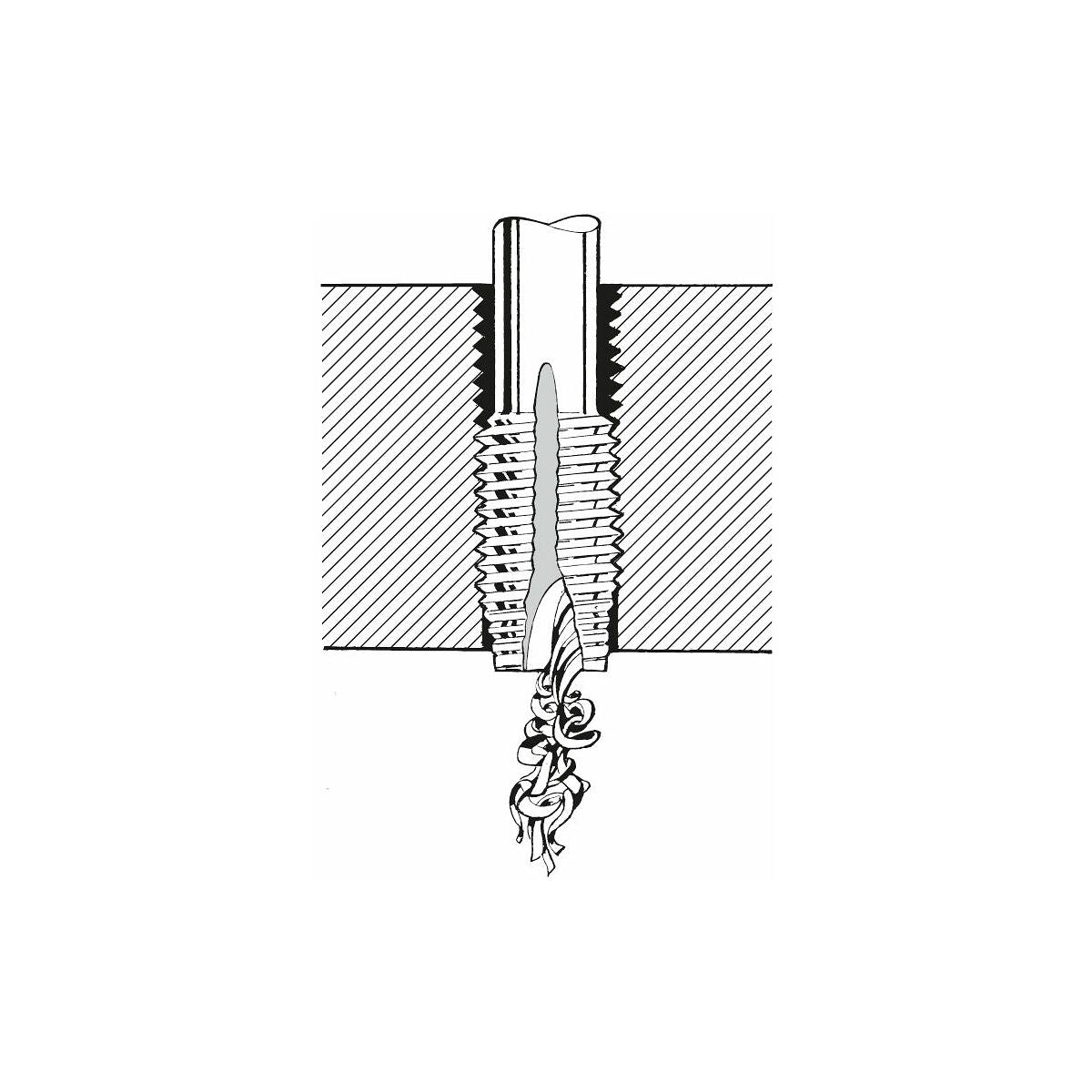 HOLEX Pro Tap machine tap HSS-E, TiN, M: M2