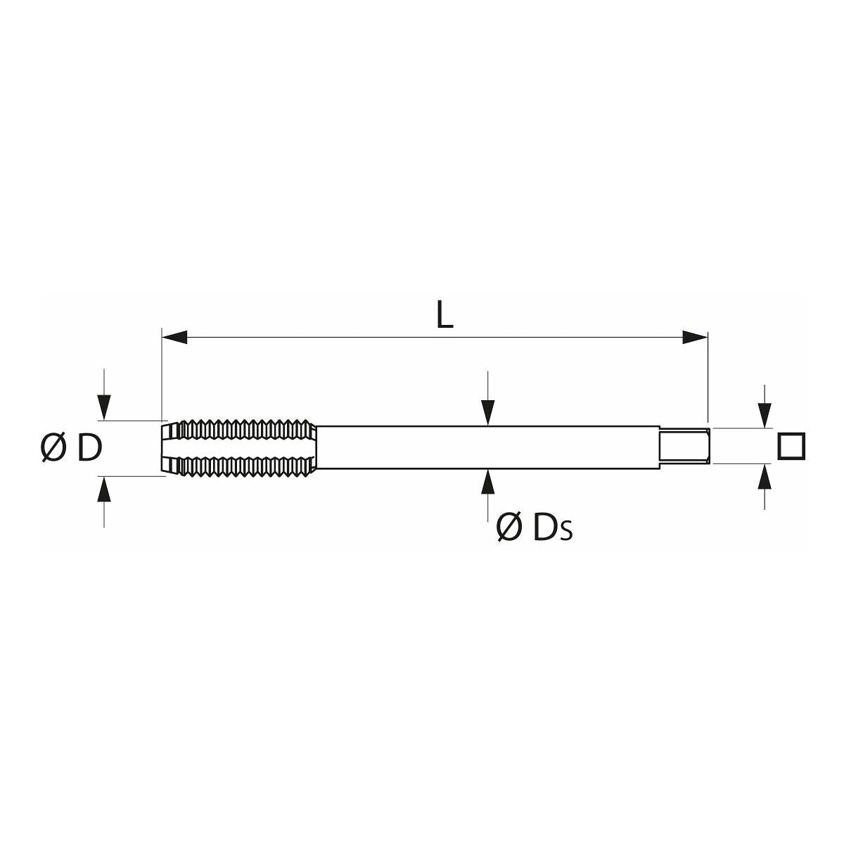 HOLEX Clever Tap machine tap Form B DIN 371/376, uncoated, M: M3