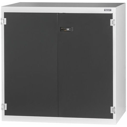 GARANT Large-capacity / heavy-duty cabinet with Plain sheet metal swing door - 942721