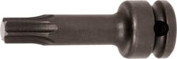 IMPACT Torx® screwdriver bit, 3/8 inch TX40