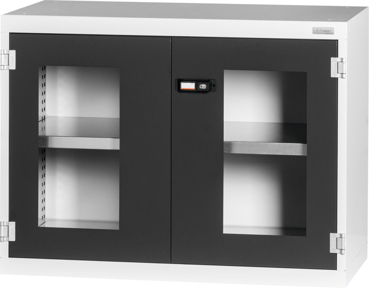 Base cabinet with Viewing window swing doors 800 mm